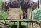 Single Mother Goes into the Forest to Find a Place to Live – Completing Her Small Bamboo Stilt House