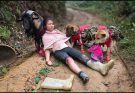 The Vietnamese girl received help from a dog and a goat on her way to the market – ha thi muon