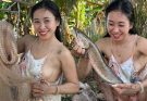 Shocked When Fishing Net Catches Huge Snakehead Fish, Along With Delicious Batch Of Wild Fish