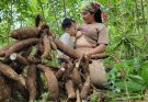 How to build a giant kitchen – for cooking porridge for pigs