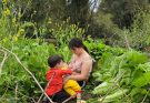 The single mother picked vegetables in the fields and brought them to the market to sell